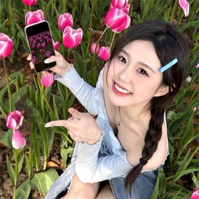 科搜研之女第24季